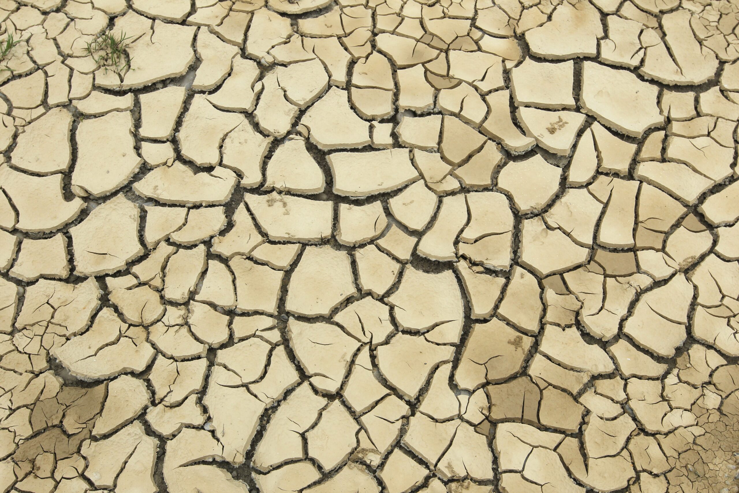 What is Soil Shrinkage? Understanding the Causes and Effects