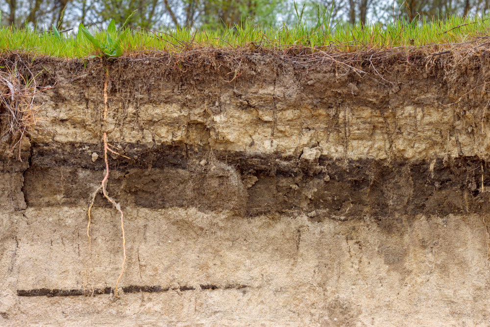 What is Soil Shrinkage? Understanding the Causes and Effects